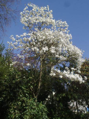 Kopie_von_170420101922M.kobus.jpg