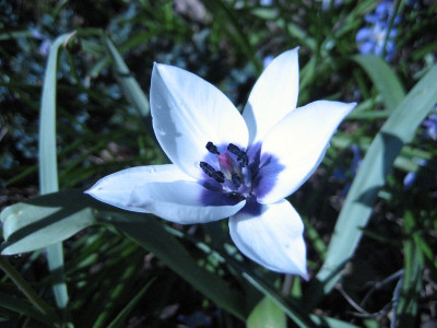 2010-04-18.jpg