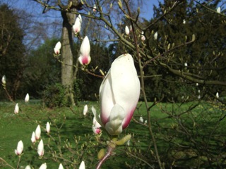 DSCF4167_2.jpg