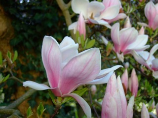 DSCF4177_2.jpg