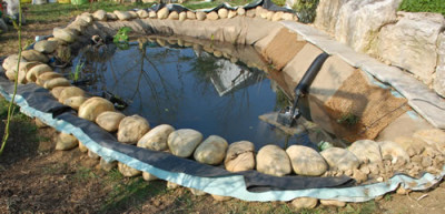 Teich_0010__3739.jpg