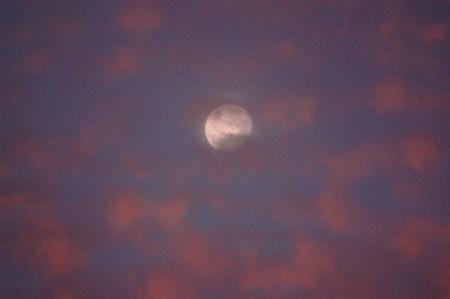 mond_031211_8_17.jpg