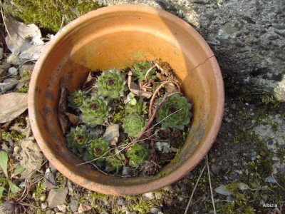 PICT4575.JPG