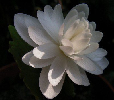 SangMul0501k.jpg