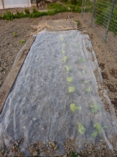 P1020152.JPG