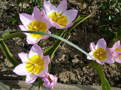 P1050631.JPG