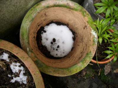 nochmal_schnee.jpg