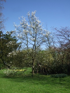 DSCF4165.jpg