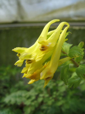 DSCF0560.JPG