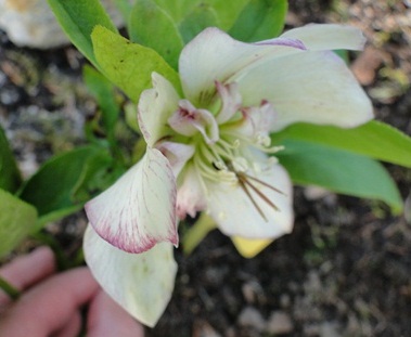 18._April_2010_020.JPG