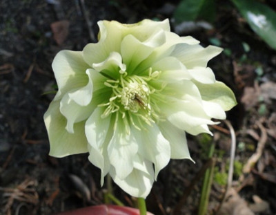 18._April_2010_015.JPG
