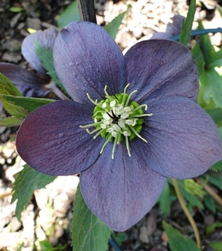 18._April_2010_039.JPG