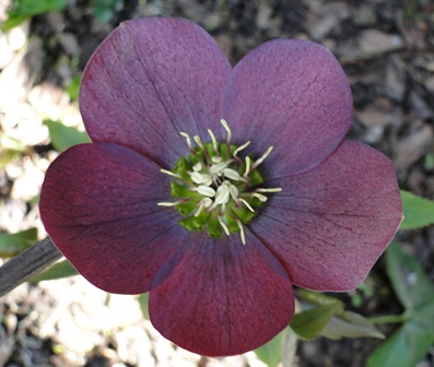 18._April_2010_038.JPG