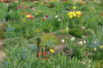 20-04-10.JPG