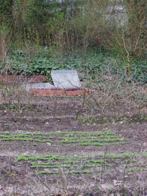 April_2010_Gemusegarten.jpg