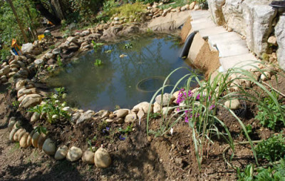 Teich_endlich_fertig_0010__3993.jpg
