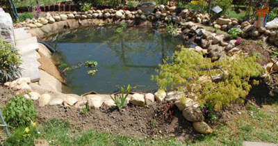 Teichvorderansicht_0010__4008.jpg