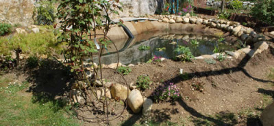 Teich_von_unten_0010__3995.jpg