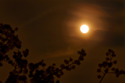 Vollmond-Apr2810.jpg