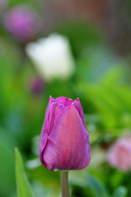 DSC_0134_01.JPG