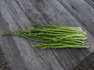 gruenspargel_zum_dritten.jpg