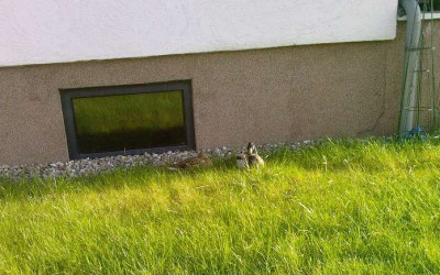 Gartenbesetzer.jpg