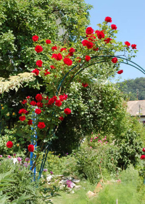 Pauls_Scarlet_Climber_0015__51127.jpg