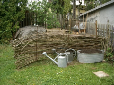 IMGP8875.JPG