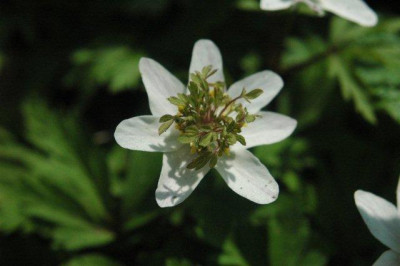 03_._05_._2010_107.jpg