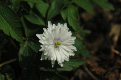 03_._05_._2010_116.jpg