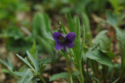 03_._05_._2010_133.jpg