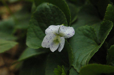 03_._05_._2010_061.jpg