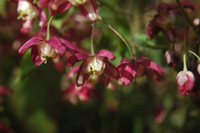 03_._05_._2010_113.jpg