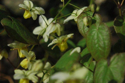 03_._05_._2010_119.jpg