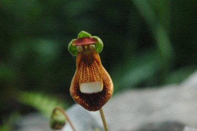 03_._05_._2010_153.jpg