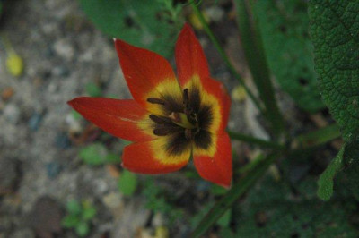 03_._05_._2010_135.jpg