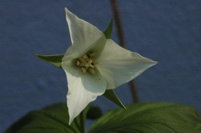 03_._05_._2010_084.jpg