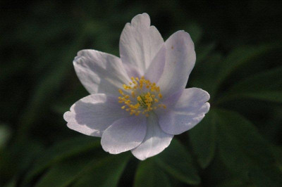 03_._05_._2010_036.jpg