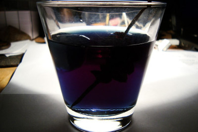ink_martini.jpg