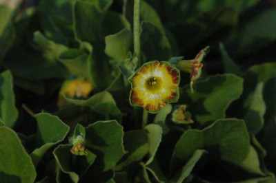 03_._05_._2010_003.jpg