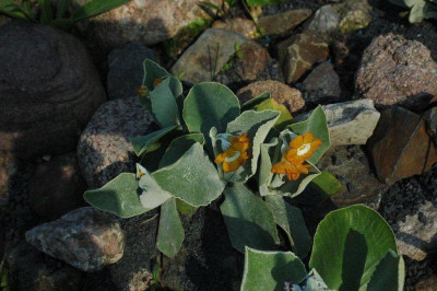03_._05_._2010_005.jpg