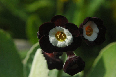 03_._05_._2010_026.jpg