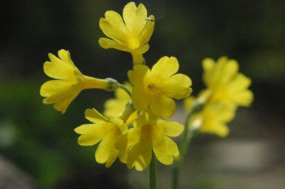 03_._05_._2010_027.jpg