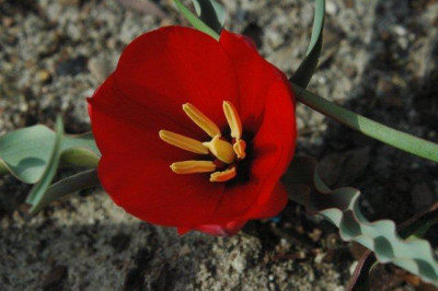 03_._05_._2010_051.jpg