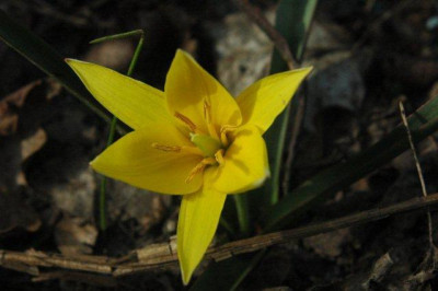03_._05_._2010_049.jpg