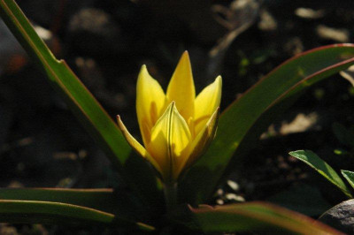 19_._04_._2010_103.jpg