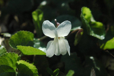 19_._04_._2010_038.jpg