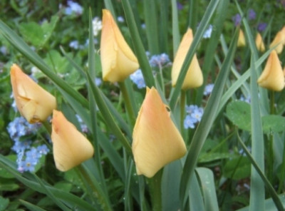 DSCF7611.JPG