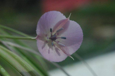 03_._05_._2010_145.jpg