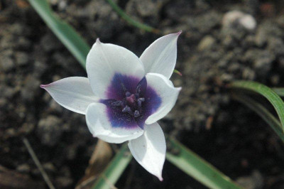 19_._04_._2010_026.jpg